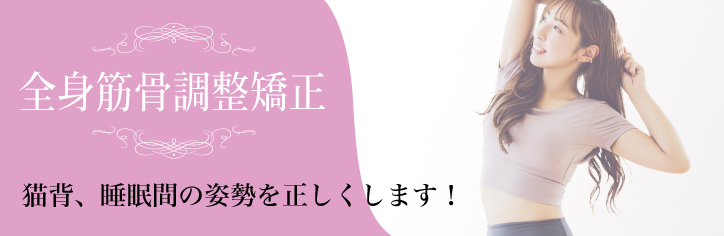 全身筋骨調節矯正