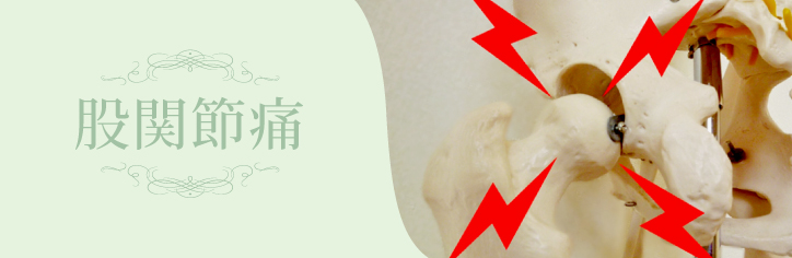 股関節痛